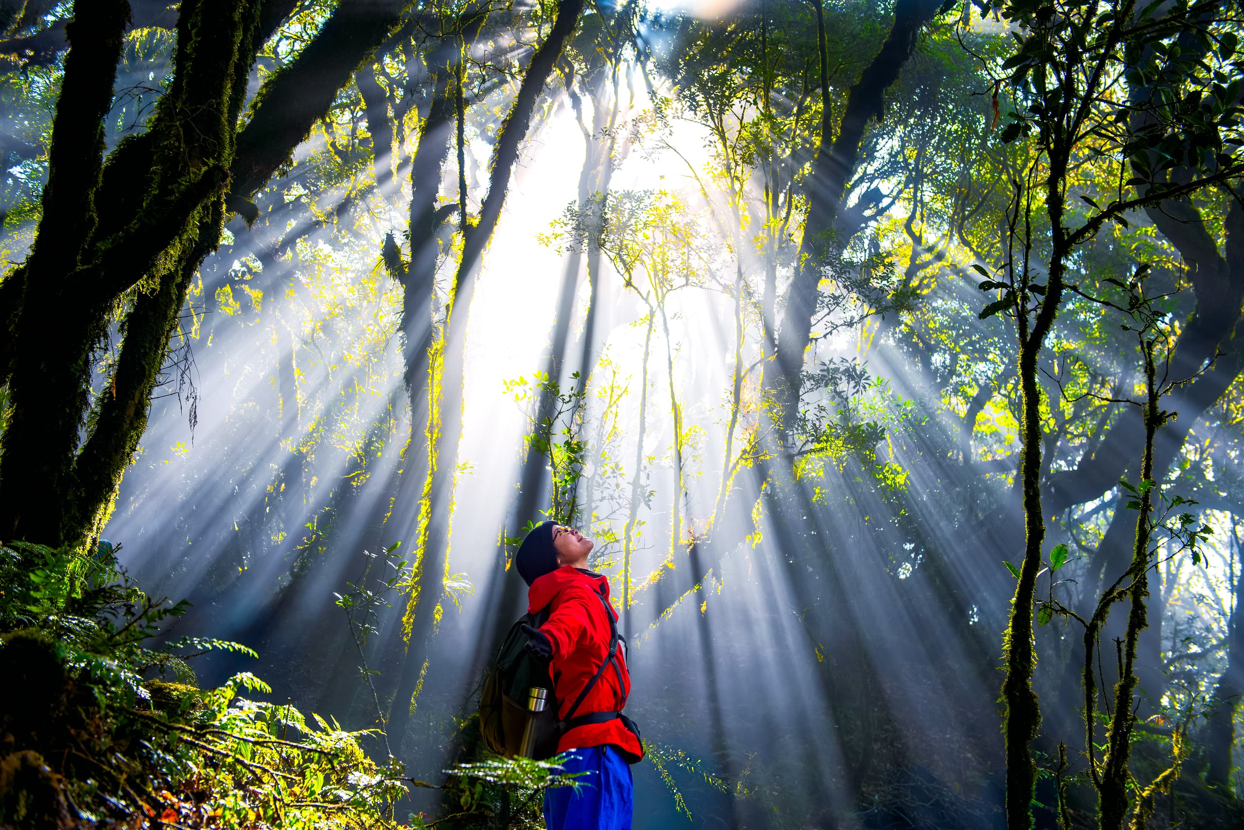  ĐỈNH NÚI DỄ CHINH PHỤC NHẤT DÀNH CHO DÂN VĂN PHÒNG & NGƯỜI MỚI TREKKING 